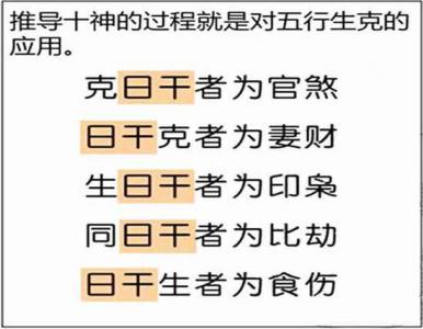 八字 四柱扎根什么意思