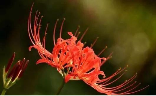 1573975304882805.jpg 1.jpg