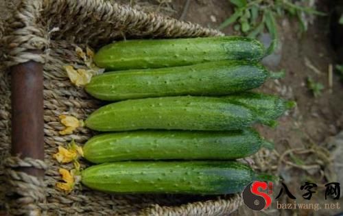 梦见自己吃黄瓜